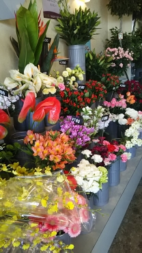 「パンジーフローリスト」　（福岡県大牟田市）の花屋店舗写真4
